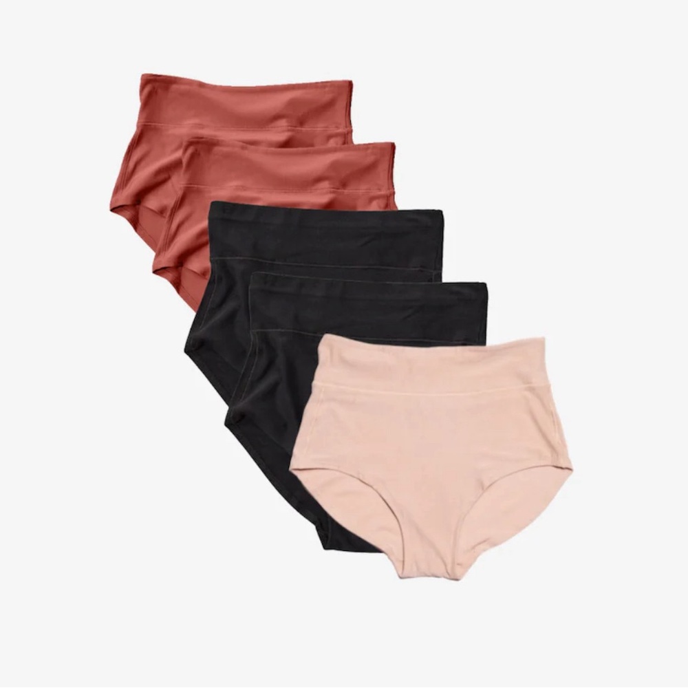 Bodily All-In Panties - Like New!